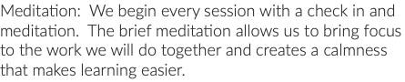 Meditation: We begin every session with a check in and meditation. The brief meditation allows us to bring focus to the work we will do together and creates a calmness that makes learning easier.